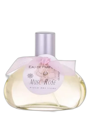 Musc Rose Place Des Lices by Place des Lices