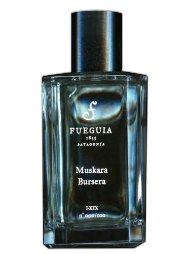 Muskara Bursera Fueguia 1833 by Fueguia 1833