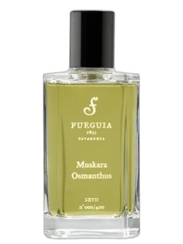 Muskara Osmanthis Fueguia 1833 by Fueguia 1833