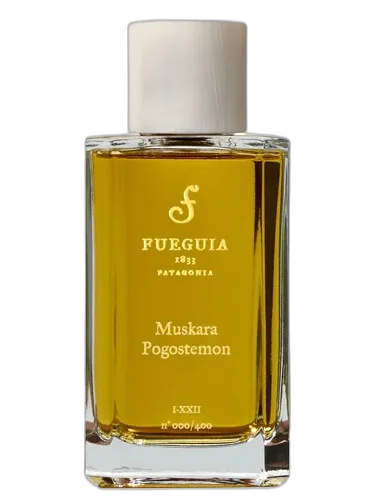Muskara Pogostemon Fueguia 1833 by Fueguia 1833