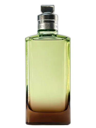 Mystic Moss Dries Van Noten