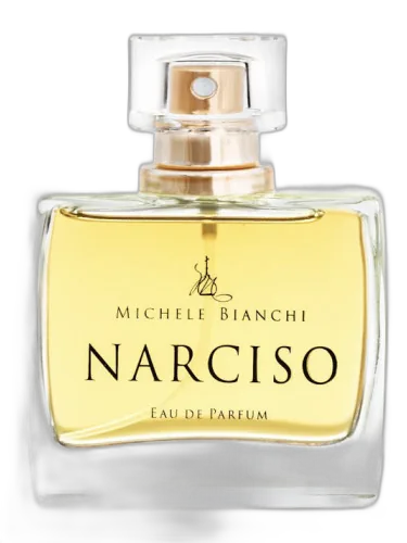 Narciso Michele Bianchi by Michele Bianchi