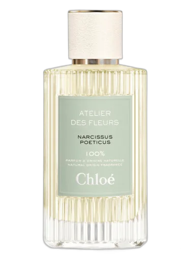 Narcissus Poeticus Chloé by Chloé