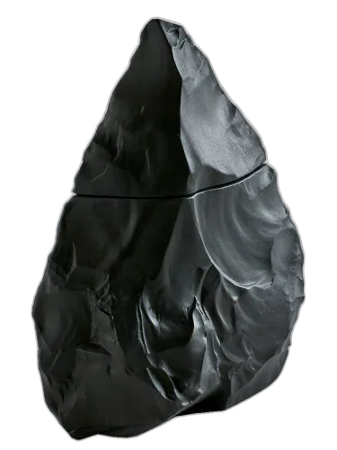 Neandertal Dark 2015 Neandertal by Neandertal