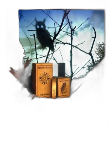 Night Watcher Solstice Scents by Solstice Scents