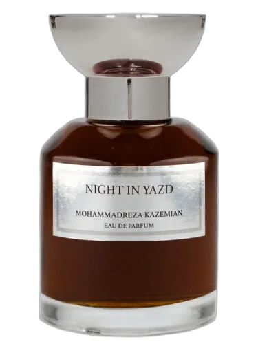 Night In Yazd Mohammadreza Kazemian by Mohammadreza Kazemian