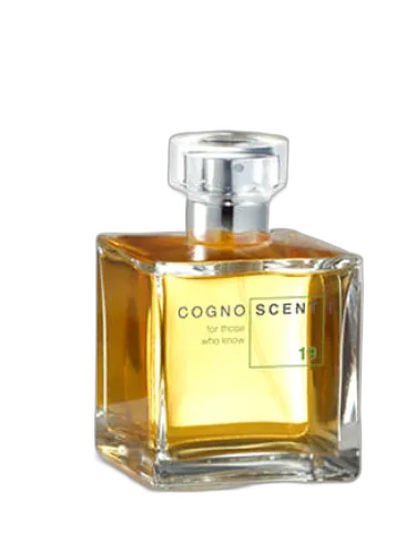 No 19 Warm Carrot Cognoscenti by Cognoscenti