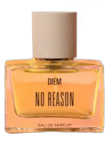No Reason Diem by DIEM
