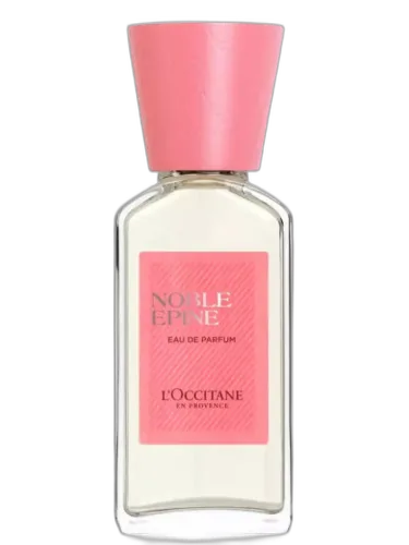 Noble Epine L'occitane En Provence by L'Occitane en Provence