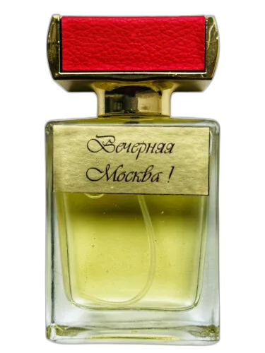 Noche Moscú (вечерняя Москва) Kamila Robinson by Kamila Robinson