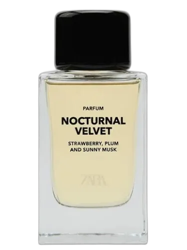 Nocturnal Velvet Zara by Zara