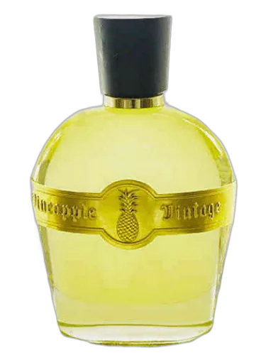 Noir Intense Parfums Vintage by Parfums Vintage