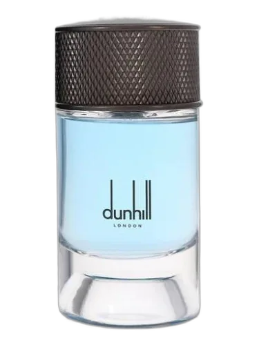 Nordic Fougère Alfred Dunhill by Alfred Dunhill