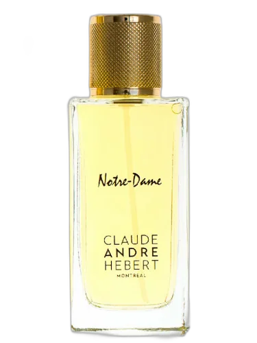 Notre-dame Claude Andre Hebert by Claude Andre Hebert