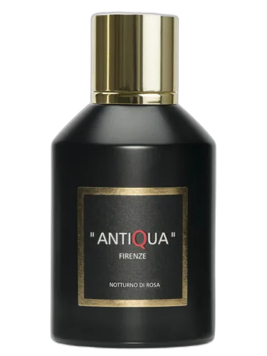 Notturno Di Rosa Antiqua Firenze by Antiqua Firenze