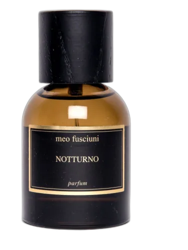 Notturno Meo Fusciuni by Meo Fusciuni