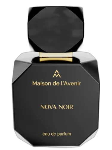 Nova Noir Maison De L'avenir