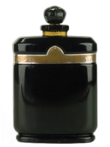Nuit De Noel Extrait De Parfum Caron by Caron