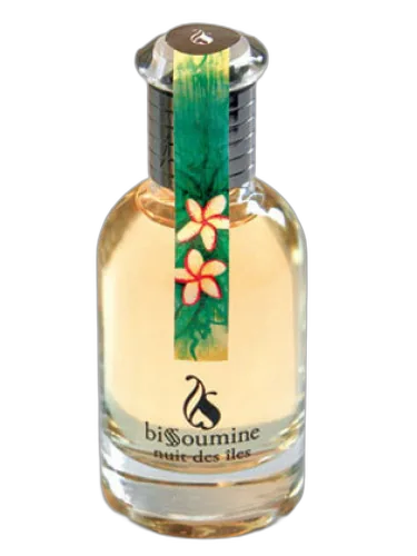 Nuit Des Iles Bissoumine by Bissoumine