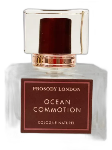Ocean Commotion Prosody London by Prosody London