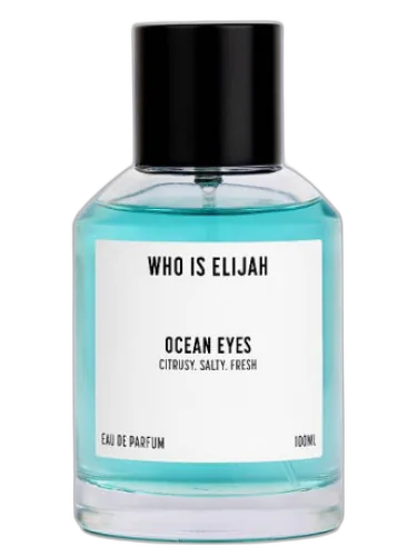 Ocean Eyes Who Is Elijah