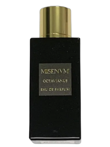 Octavianus Misenum by Misenum