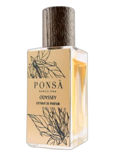 Odyssey Ponsa by Ponsa