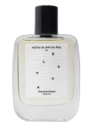 Olatua Notes De Bas De Paje
