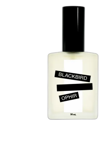 Ophir Blackbird