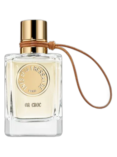 Or Choc Ines De La Fressange by Ines de la Fressange
