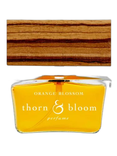 Orange Blossom Thorn & Bloom by Thorn & Bloom