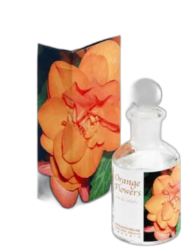 Orange Flowers Monotheme Venezia by Monotheme Venezia