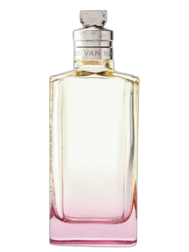 Orange Smoke Dries Van Noten by Dries Van Noten