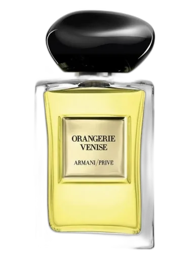 Orangerie Venise Giorgio Armani by Giorgio Armani