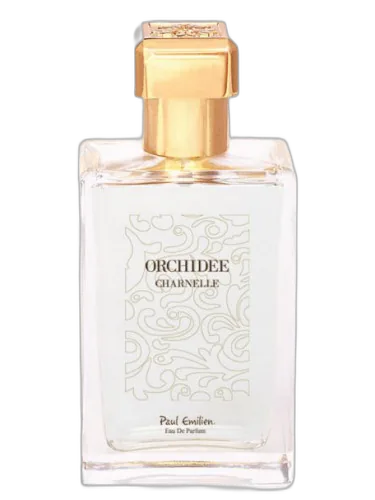 Orchidée Charnelle Paul Emilien by Paul Emilien