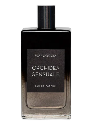 Orchidea Sensuale Marcoccia by Marcoccia