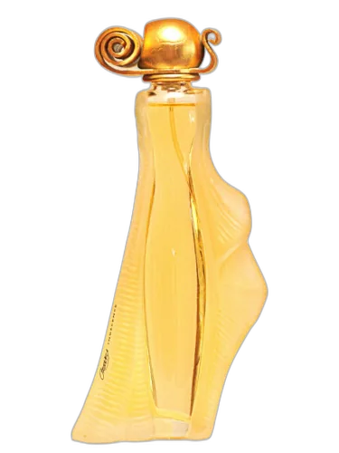 Organza Indécence Givenchy by Givenchy