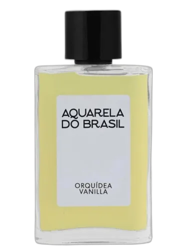Orquídea Vanilla Aquarela Do Brasil by Aquarela do Brasil