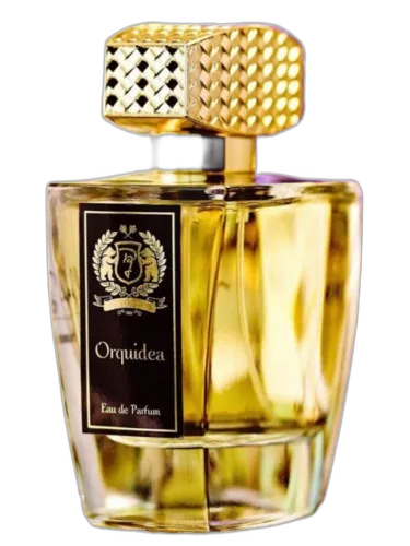 Orquidea Daniel Josier by Daniel Josier