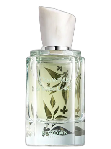 Osmanthus & Lung Ching 桂花龙井 Boitown 冰希黎 by Boitown 冰希黎
