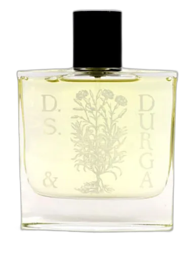Osmanthus Ds&durga by DS&Durga