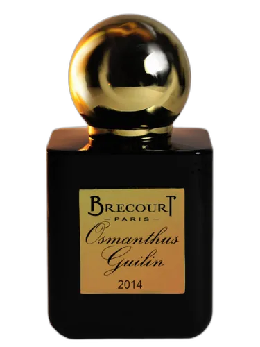 Osmanthus Guilin Brecourt