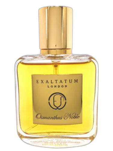 Osmanthus Noble Exaltatum by Exaltatum