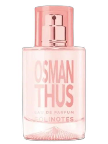 Osmanthus Solinotes by Solinotes