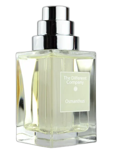Osmanthus The Different Company by The Different Company