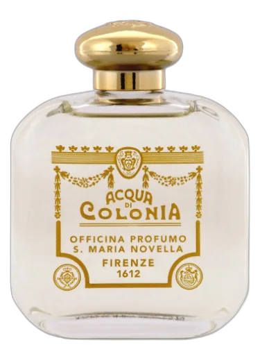 Ottone Santa Maria Novella by Santa Maria Novella