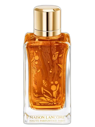 Oud Ambroisie Lancôme by Lancôme