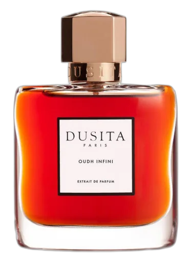 Oudh Infini Parfums Dusita by Parfums Dusita