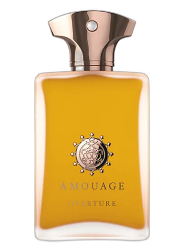 Overture Man Amouage by Amouage