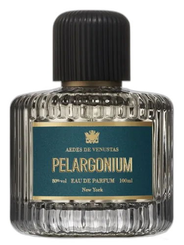 Pélargonium Aedes De Venustas